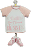 Personalized Christmas Ornament - Big Sister or Big Brother/New Sibling/New Baby/Growing Family/Big Bro/Big Sis